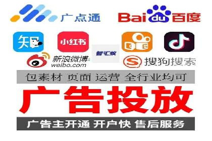 某公司信息流广告的精准投放与效果评估